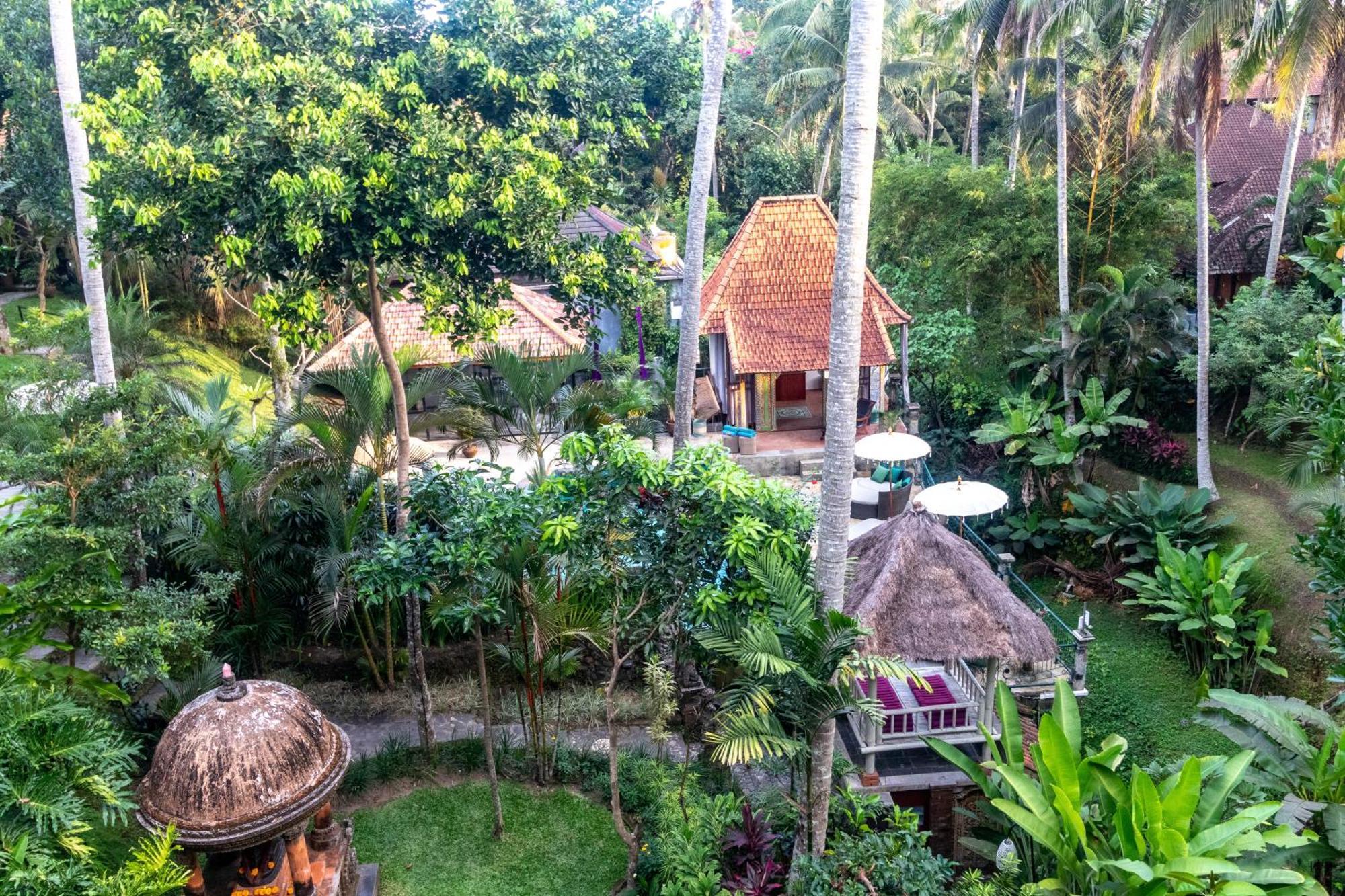 Narasoma Homestay & Retreat Ubud  Exterior photo